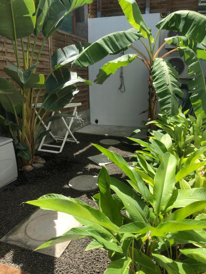 Le Damour Appartement 1 Ou 2 Chambres 莱昂斯-达赫雷 外观 照片